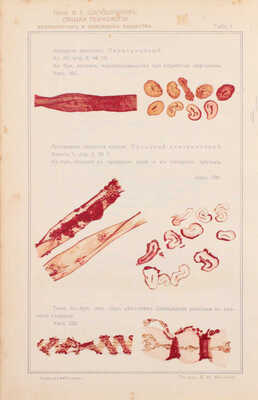 [Шапошников В.Г., автограф]. Шапошников В.Г. Общая технология волокнистых и красящих веществ. Введение к специальному изучению химической технологии отбельного, красильного и печатного производств. Киев, 1912.